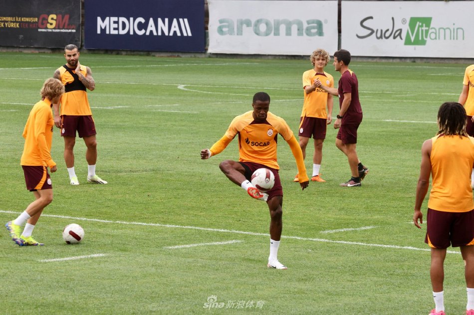 是否应该离 是否应该离